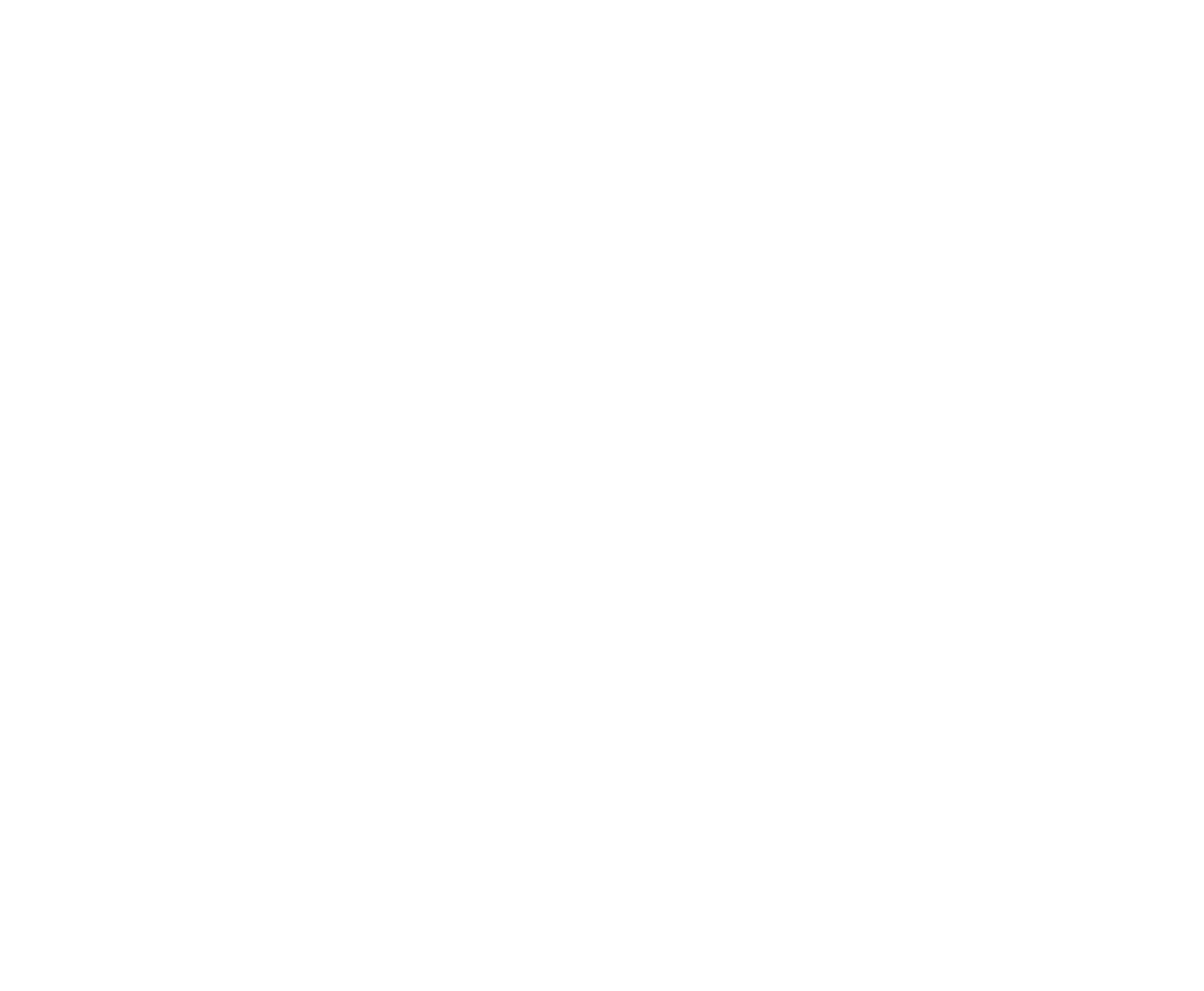 naic_logo_full-wht-1200x (png)